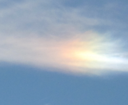 User Profile: sunDog64