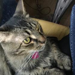 User Profile: MissMarcie