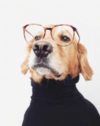 User Profile: SmokeyHeart