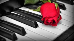 Profile: Pianorose