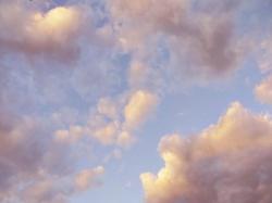 Profile: quietday01