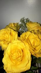 Profile: YellowRoses01
