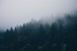 User Profile: c9m