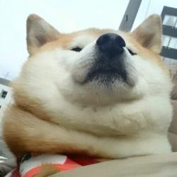 Profile: ilikebeingcozy