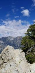 Profile: AnnaTope