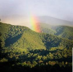 User Profile: MountainBeauty