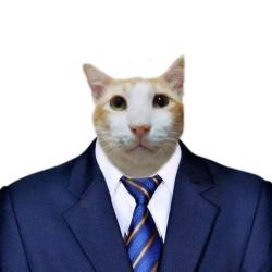 User Profile: Sam0032