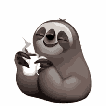 User Profile: SupportSloth