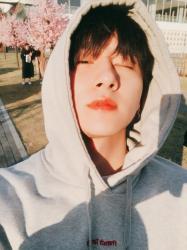 User Profile: suntaeah