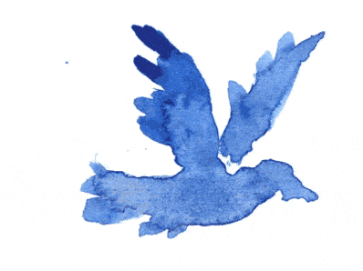 User Profile: BleuPhoenix
