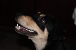 User Profile: Sila22