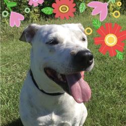 User Profile: CompassionateCandy07
