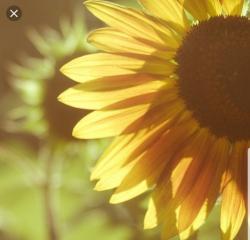 User Profile: BeaUtifulWritings25