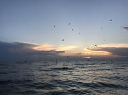 Profile: ripplesofcalm
