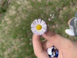 User Profile: SirenAdams