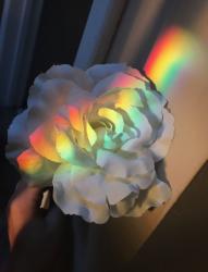 User Profile: rainontherooftop
