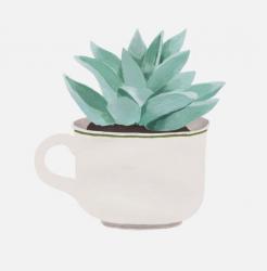 User Profile: rainydaycupoftea