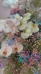 User Profile: RoseLouiseG