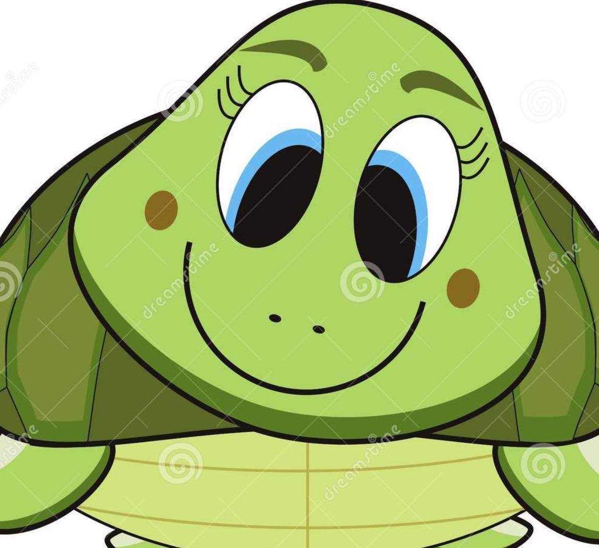 User Profile: happyTortoise26