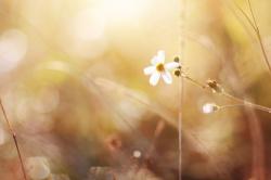 User Profile: ChasingSunshine22