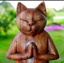 User Profile: BuddhaCat06