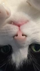 User Profile: gabsthecatlady