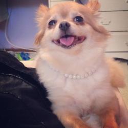 User Profile: DaisyMoon