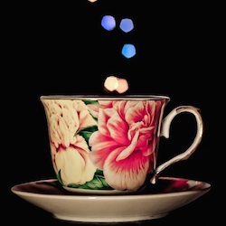 Profile: stuartleegeorge