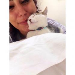 Profile: mayssamk