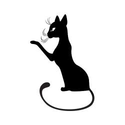 Profile: theblackcat