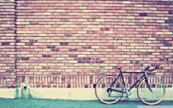 Profile: MrWhoa