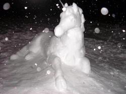User Profile: TheWinterHorse