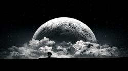 Profile: PlumPewter