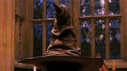 User Profile: sortinghat101HP