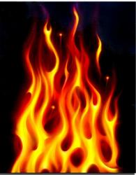 User Profile: FireStripe