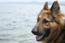 User Profile: apollo5991