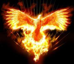 User Profile: AscendedFromAshes