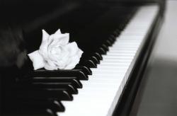 User Profile: MusicalZoe