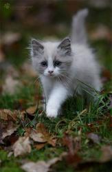 User Profile: musicalWillow25