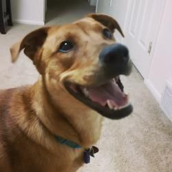 Profile: WhitFindsJoyInPasta