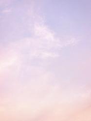 Profile: cuddlyBreeze53