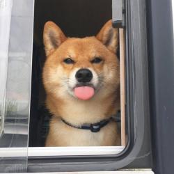 User Profile: ipromiseilldomybest