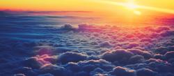 Profile: AmazingAmz8