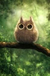 User Profile: oliviaowl