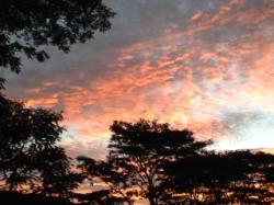 Profile: Caringheart4