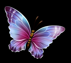 Profile: Simone99