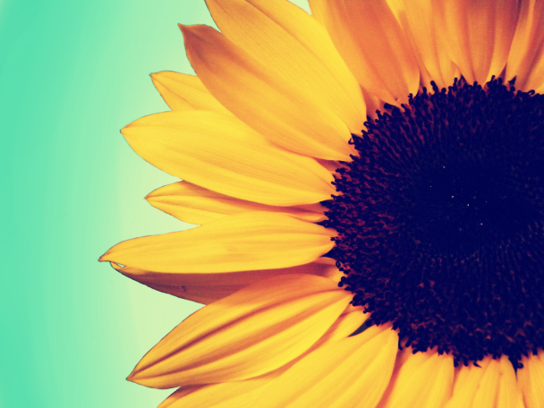 User Profile: SMLHappy
