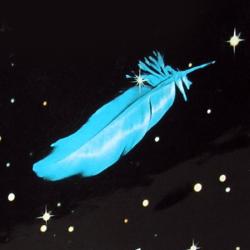 User Profile: Hoshizora