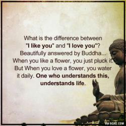 Profile: endlesslyinlove13