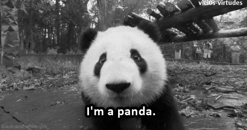 User Profile: TyPanda2